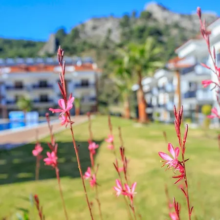 Apartment Likya 1 *
